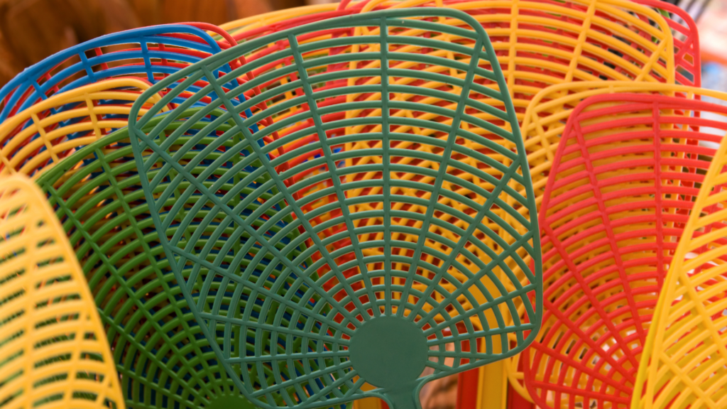 woordenschat oefenen met een vliegenmepper